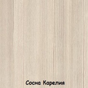 Набор детской мебели Вега Серия 2 (модульная) (СВ) в Качканаре - kachkanar.mebel-e96.ru