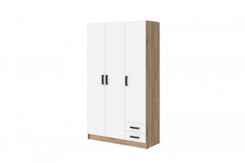 Шкаф 1200 мм Эконом без зеркала (Зарон) в Качканаре - kachkanar.mebel-e96.ru