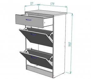 Обувница W21 (ДМ) в Качканаре - kachkanar.mebel-e96.ru