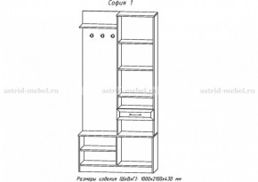 Прихожая София 1 (АстридМ) в Качканаре - kachkanar.mebel-e96.ru