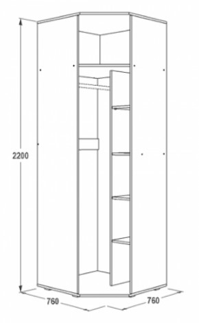 Шкаф 1-но дверный угловой Ольга-14 (760*760) в Качканаре - kachkanar.mebel-e96.ru