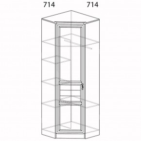 Шкаф для одежды угловой Лира 57 (Яна) в Качканаре - kachkanar.mebel-e96.ru