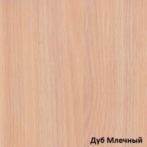 Шкаф-купе Рио 1-600 Амели (полки справа) в Качканаре - kachkanar.mebel-e96.ru