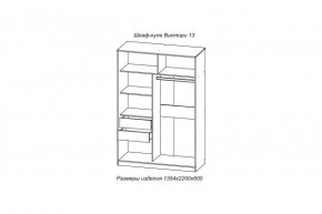 Шкаф-купе ВИКТОРИ-13 Анкор темный в Качканаре - kachkanar.mebel-e96.ru