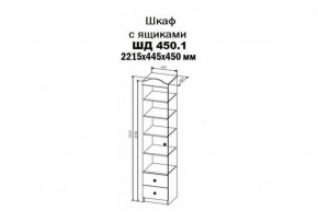 Шкаф-пенал KI-KI 450 мм, ШД450.1 (ДСВ) в Качканаре - kachkanar.mebel-e96.ru