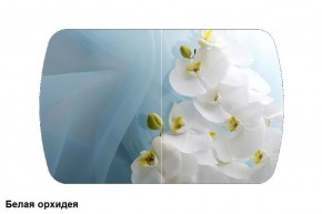 Стол Бостон 2 (1100*700) опоры Брифинг (Стекло/фотопечать Белая орхидея) в Качканаре - kachkanar.mebel-e96.ru | фото