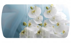 Стол Бостон-3 (Белая Орхидея) 1100/1420*700, опора Брифинг в Качканаре - kachkanar.mebel-e96.ru