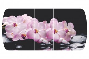 Стол Бостон-3 (Розовая Орхидея) 1100/1420*700, опора Брифинг в Качканаре - kachkanar.mebel-e96.ru