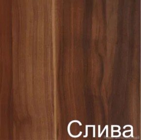 Стол-книжка (1-65) (ГК) в Качканаре - kachkanar.mebel-e96.ru