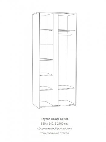 Шкаф Трувор 13.204 в Качканаре - kachkanar.mebel-e96.ru