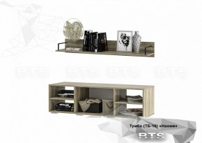 Тумба ТВ ТБ-16 Наоми (БТС) в Качканаре - kachkanar.mebel-e96.ru