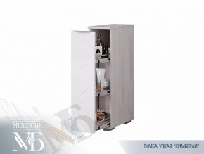 Тумба узкая ТБ-21 Кимберли (БТС) в Качканаре - kachkanar.mebel-e96.ru