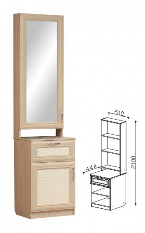 ВИП-6 шкаф комбинированный с зеркалом Визит-16 в Качканаре - kachkanar.mebel-e96.ru