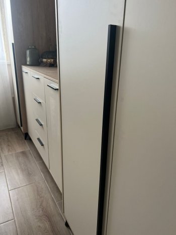 Шкаф 1360 3С2Я с ящиками Ева Сатин (Памир) в Качканаре - kachkanar.mebel-e96.ru